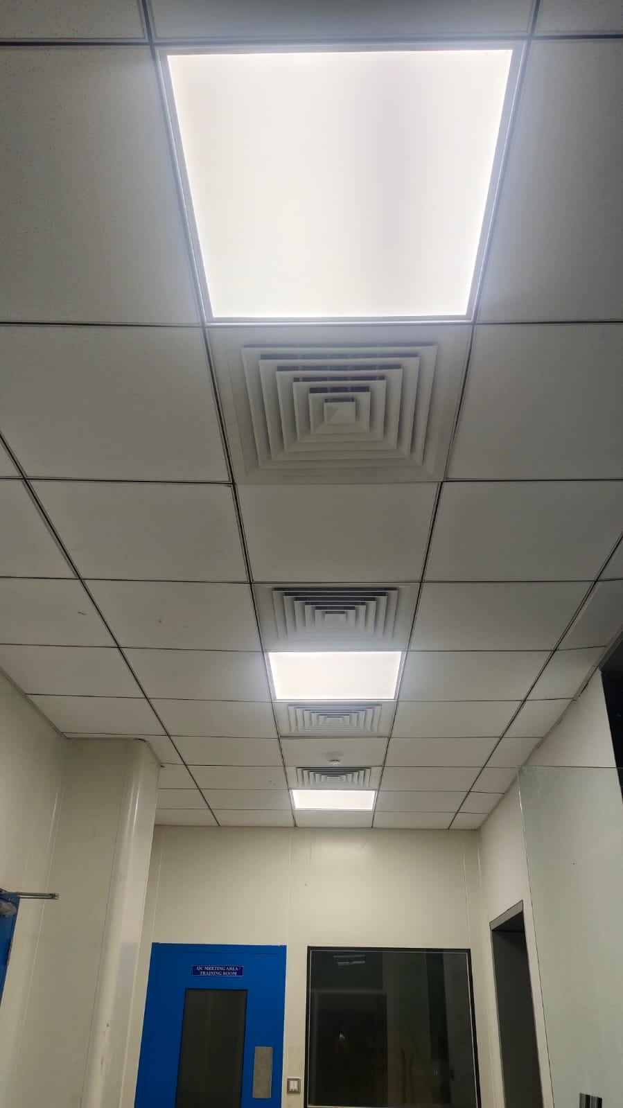 garden lighting ideas